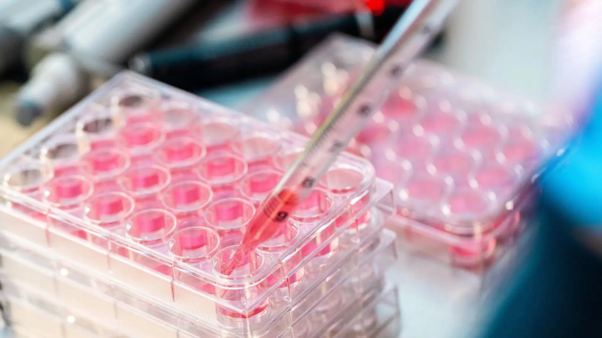 Vaccine and virology assay study in laboratory