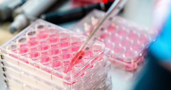 Palette science laboratory papette