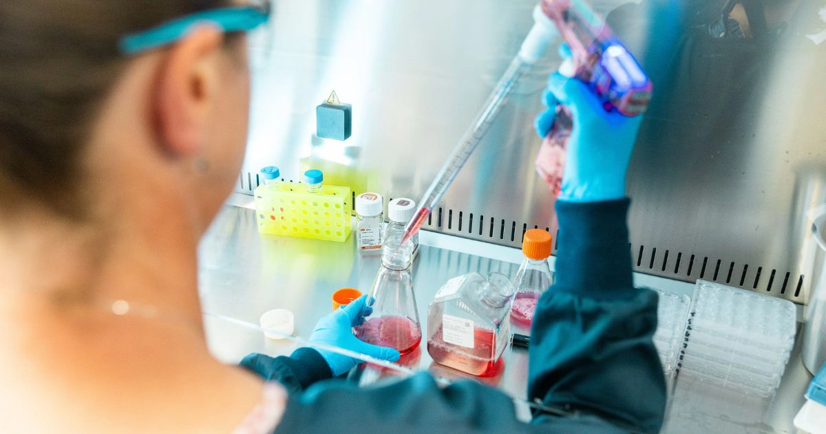 Scientist in a laboratory conducting virology assay